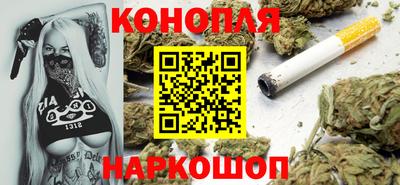 сатива Можга