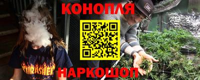 сатива Можга