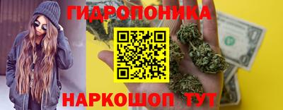 сатива Можга