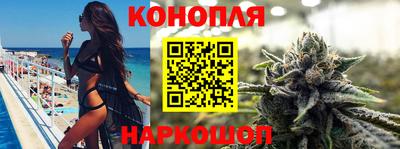 сатива Можга