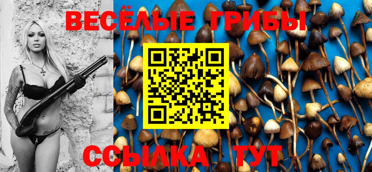 Псилоцибиновые грибы MAGIC MUSHROOMS Владикавказ